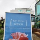 아일로사 | 제주 아일로사 후기: 구 북촌에가면에서 바뀐 최신 정보, 5월 말 장미 만개에 수국도 시작됐어요