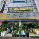 춘천 효자문 | 춘천 효자동 그린플라워 꽃다발맛집 개업화분 다육이 종류 많은 꽃집 만족후기