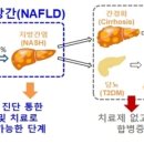 디앤디(D&D) 이미지