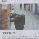 적십자간호대학 이미지