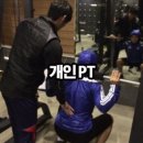 웰핏 휘트니스 이미지