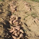 윤철농장 이미지