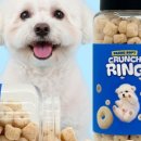 댕댕이연구소 이미지