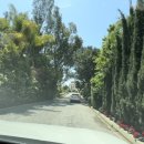 미국 최고의 부촌 벨에어 Bel Air 저택 임장 후기