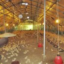 소사랑농장 이미지