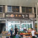 노상청과