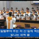 [10/30] 추수감사절 1-2. 주는 저 산 밑에 백합 (Paul Mikelson) [대양교회 드고아] 이미지