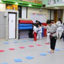 올바른 성장 태권도 이미지