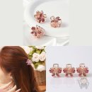 보스헤어 이미지