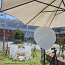 피어나개 이미지