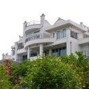 제주블랑 이미지