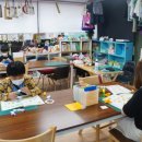 종이접기(청소년) 이미지