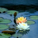 사상생활사박물관 이미지