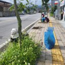 대소원면 행정복지센터 이미지