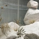 소금꽃정원 이미지