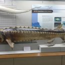 부산해양자연사박물관 이미지