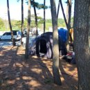 태안카페드림 이미지