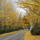 공주교도소부속의원 이미지