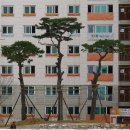 미지공인중개사사무소 이미지