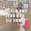 쥬니멀 | 청주 쥬니멀 동물원 후기 🐰 24개월 아기랑 재방문! 동물원에 키즈카페까지 생겼어요