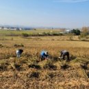 대호지축산 이미지