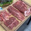 금강보행교 1 | 세종시 금강보행교 맛집 나성동 소고기 무한리필 진원소우 세종나성점 후기