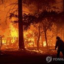 (주)캘리포니아폴스 이미지