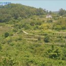 남해-182 이미지