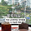 마일스커피 | 반려동물동반 카공카페 블루마일스 장단점 후기