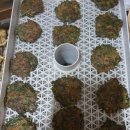 압량읍행복발전소 이미지