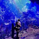 스페이스 | 인천 영종도 실내 놀거리 데이트 인스파이어 르스페이스 후기