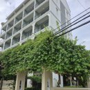 호텔코지(HOTEL COZY) | 베트남 호이안 여행 가성비 호텔 추천 코지 사비 부티크호텔 Cozy Savvy Boutique Hotel Hoi An 솔직 후기!