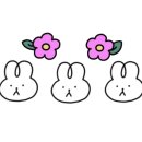 플라플로 (PLFL) 이미지