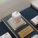 그레이스 이미지