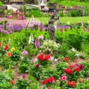 수목원레저 이미지