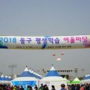 동구 구민화합축제 티스토리