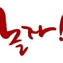 낭만고양이 - 북구 화암1길 34 | 낭만고양이