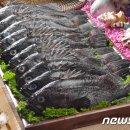 신안우럭 이미지