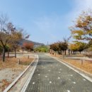 부항댐산내들오토캠핑장세척장 이미지