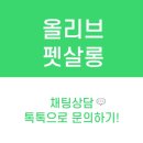 올리브펫살롱 이미지
