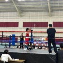 임재환 복싱월드 이미지