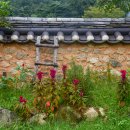 개랑 나들이 이미지