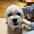 승미목장 | 진짜 긴 블로그