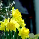 이대표공인중개사사무소 이미지