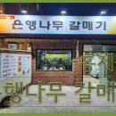 은행나무갈매기 이미지