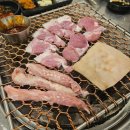 돈구이 바람났네 닭이랑 이미지