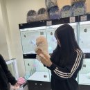 김해강아지분양고양이분양도그하우스 - 김해시 구지로 144 | 김해강아지분양고양이분양도그하우스