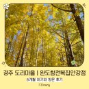 경주 도리마을ㅣ완도참전복집안강점_8개월 아기와 방문 후기(내돈내산)
