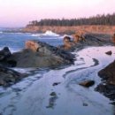 신설세탁소 이미지