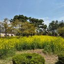 부산시민공원 문화예술촌 이미지